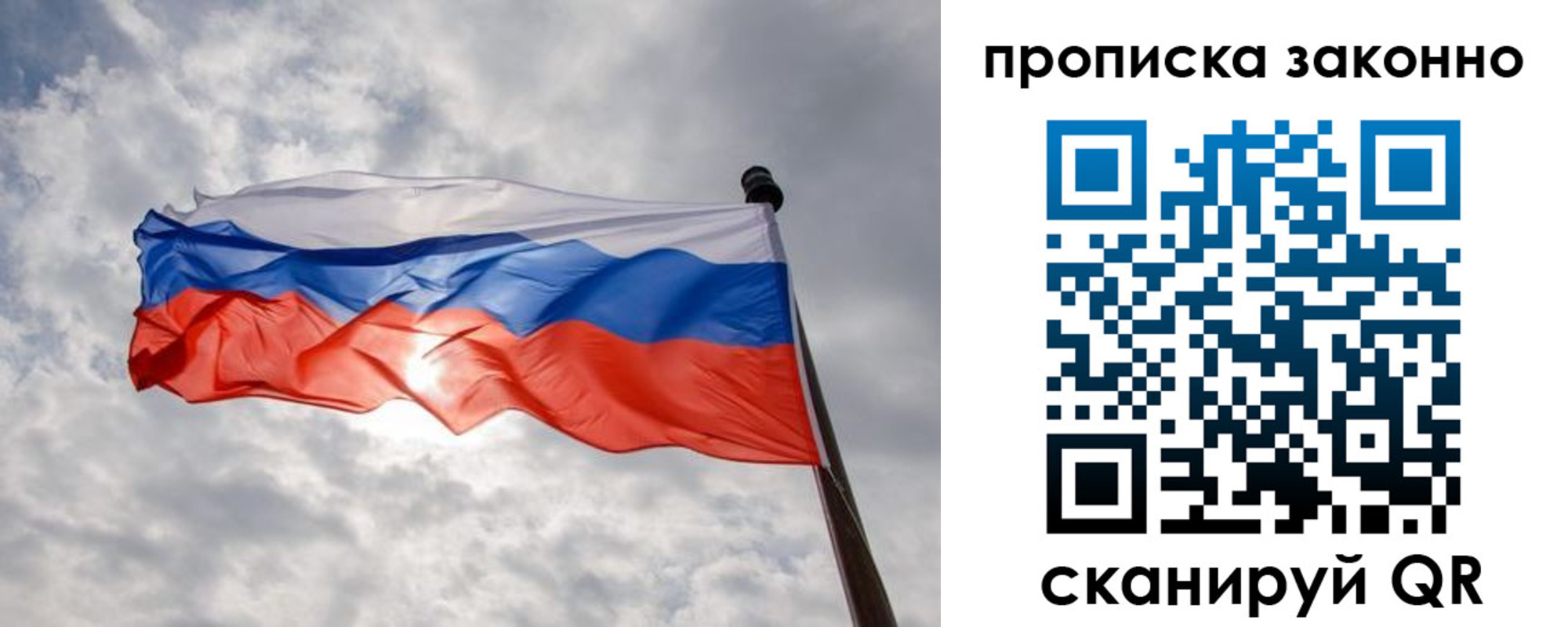 временная регистрация поиск в Курской области